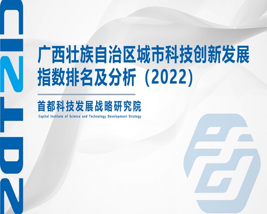 成人骚逼艹逼内射视频【成果发布】广西壮族自治区城市科技创新发展指数排名及分析（2022）